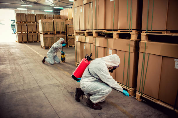Best Wildlife Control Services  in Saukville, WI