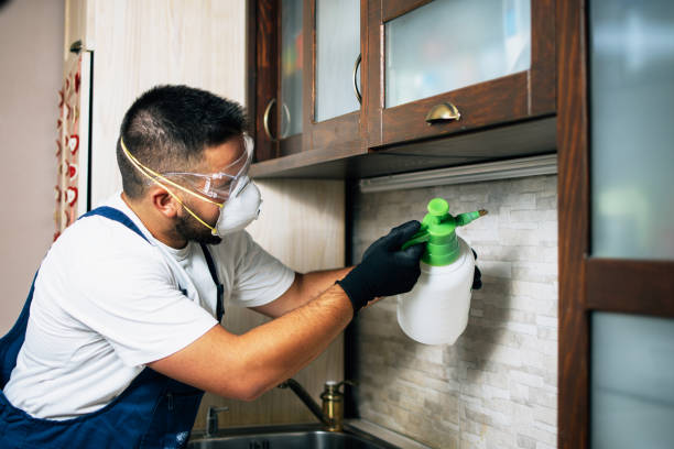 Best Wasp Removal Services  in Saukville, WI