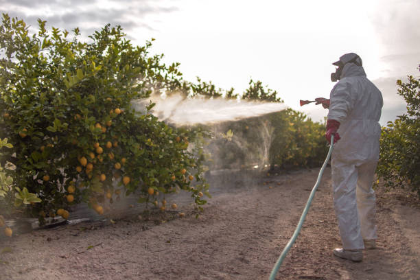 Best Pest Control for Restaurants  in Saukville, WI