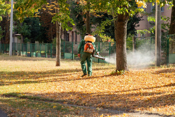 Best Pest Control for Homes  in Saukville, WI
