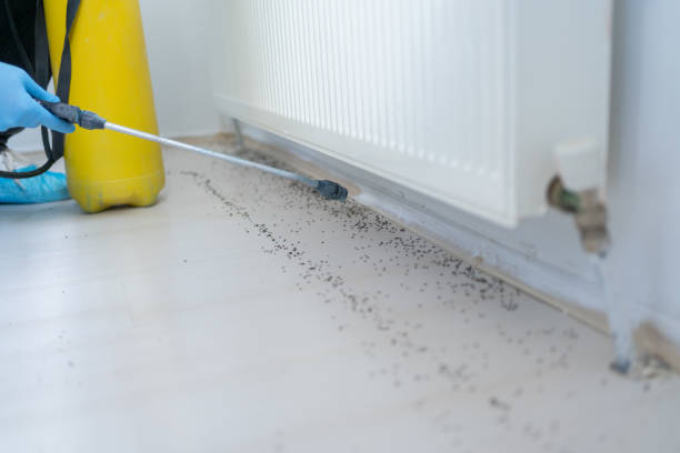 Best Best Pest Control Companies  in Saukville, WI