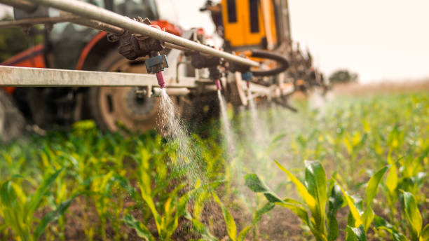 Best Pest Removal Services  in Saukville, WI