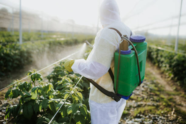 Pest Control Cost in Saukville, WI